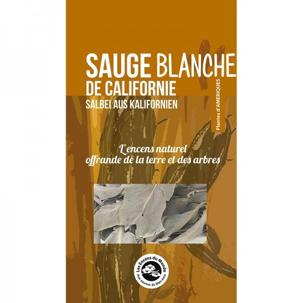Sauge Blanche de Californie - 2 rameaux