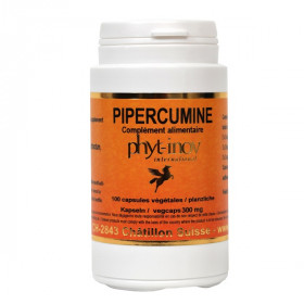 Pipercumine Gingembre 100 gélules - Phyt Inov