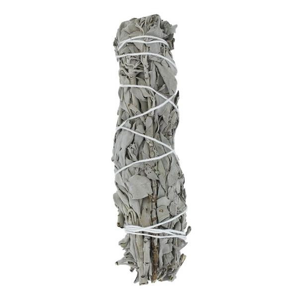 Sauge Blanche Green Tree Bâton Purificateur Moyen modèle