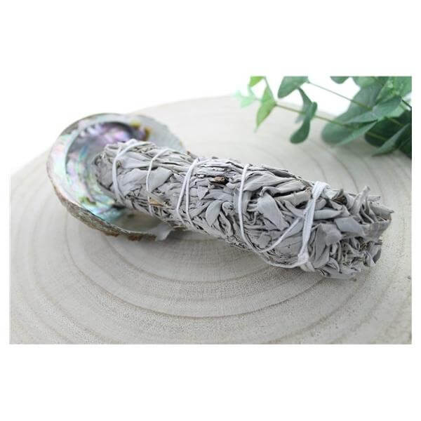 Sauge Blanche Green Tree Bâton Purificateur Moyen modèle