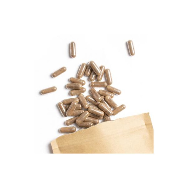 Fo-Ti bio gélules (150 à 400 mg) - He Shou Wu - Chute de cheveux