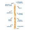 Brosse à dents naturelle Siwak élimine la plaque dentaire