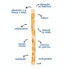 Brosse à dents naturelle Siwak x6 - Elimine la plaque dentaire