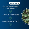 Racine d'ortie BIO - Dynveo