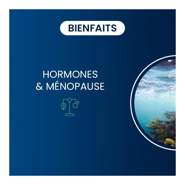 Iode d'algue kelp BIO - Dynveo