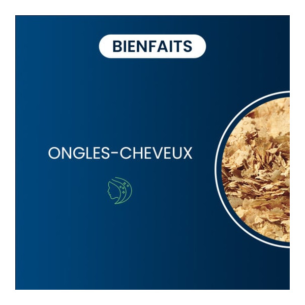 Levure de bière Bio active Ongles & Cheveux - Dynveo