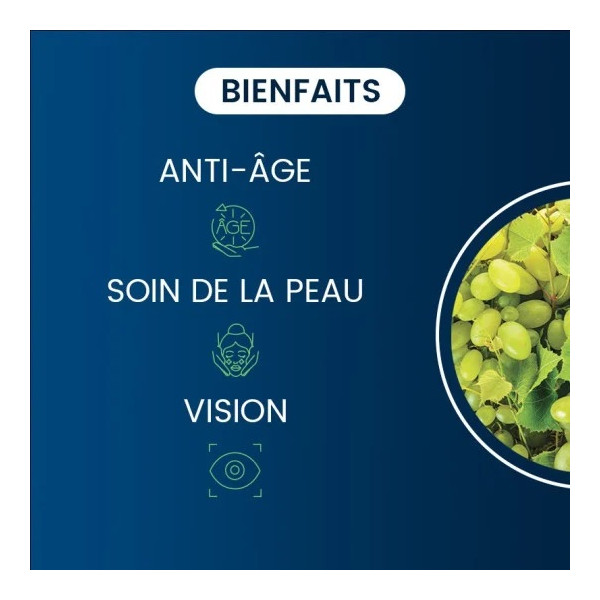 Extrait de pépins de Raisin (OPC) - Dynveo