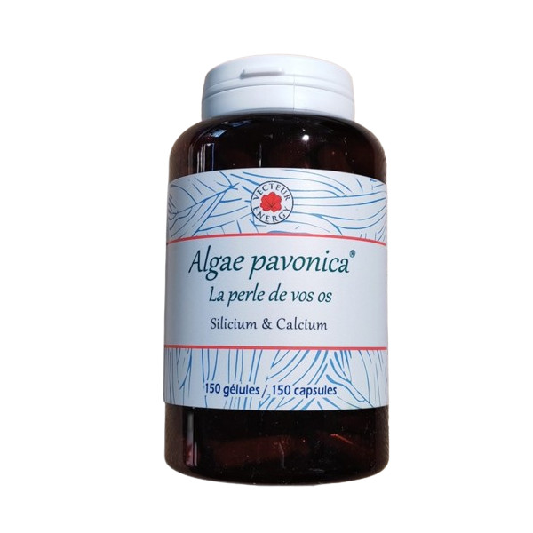 Algae Padina pavonica 150 gélules - Vecteur Energy
