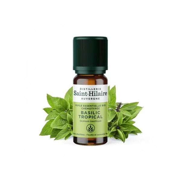 Florame huile essentielle basilic tropical, huile essentielle basilic tropical