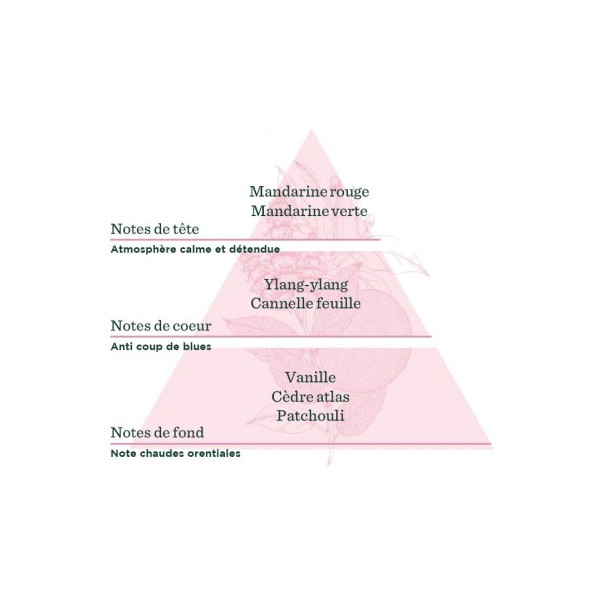 Voyage Oriental - Synergie d'Huiles Essentielles Bio à diffuser