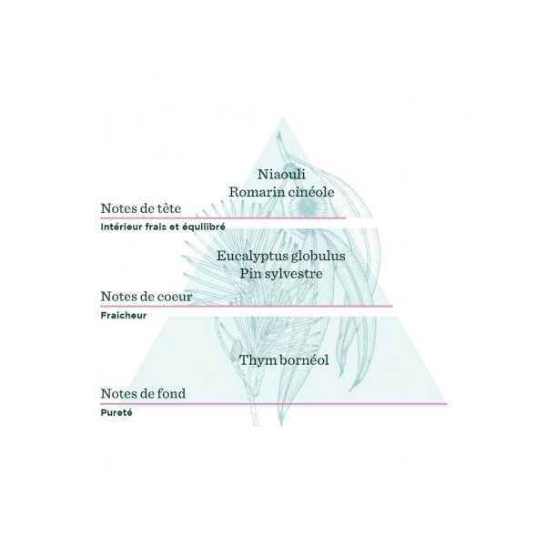 Souffle Frais - Synergie d'Huiles Essentielles Bio à diffuser