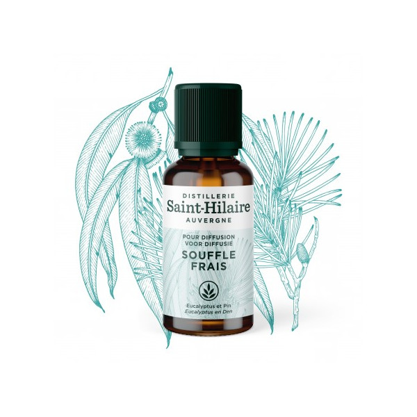 Souffle Frais - Synergie d'Huiles Essentielles Bio à diffuser