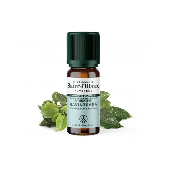 Huile essentielle ravintsara bio 10 ml - 1 - 2