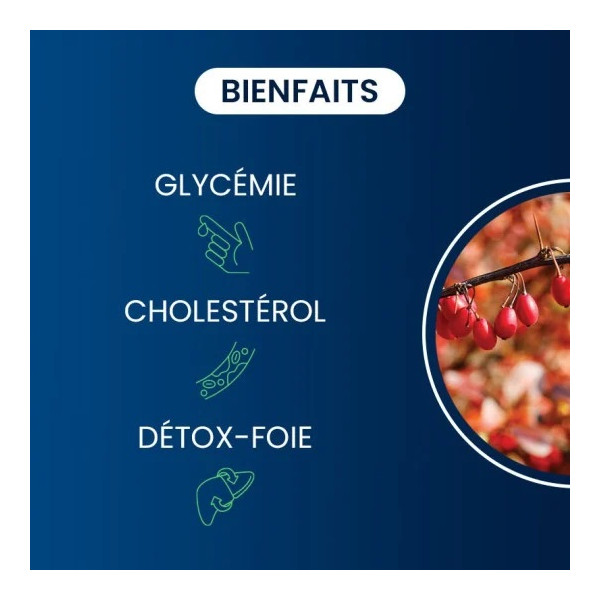 Berbérine pure 60 gélules - Dynveo - 2