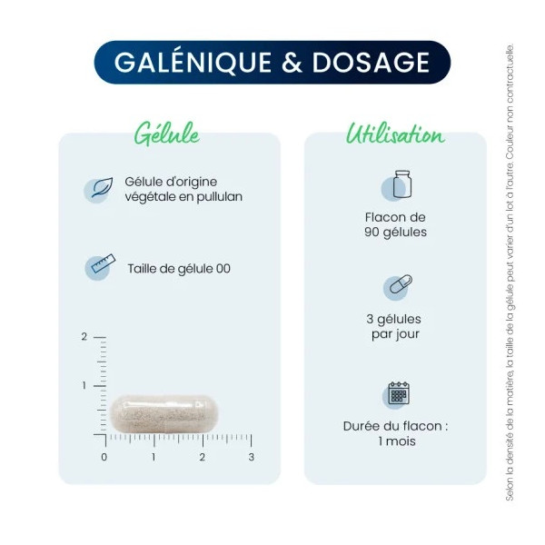 Magnésium L-thréonate : Magtein® - Dynveo - 4