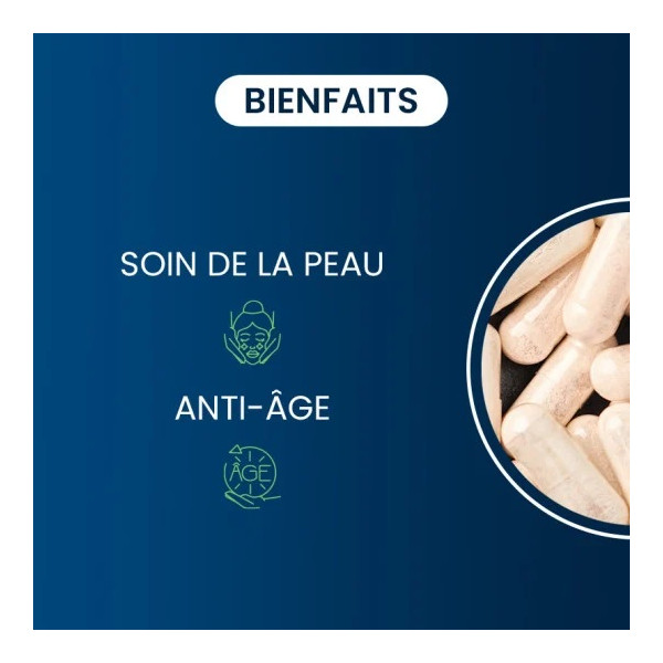 Collagène naturel végétarien - Dynveo - 2