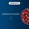 Grenade BIO - Dynveo - 2