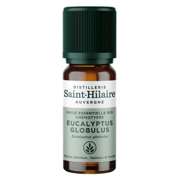 Huile essentielle eucalyptus globulus bio 10ml - 1 - 2