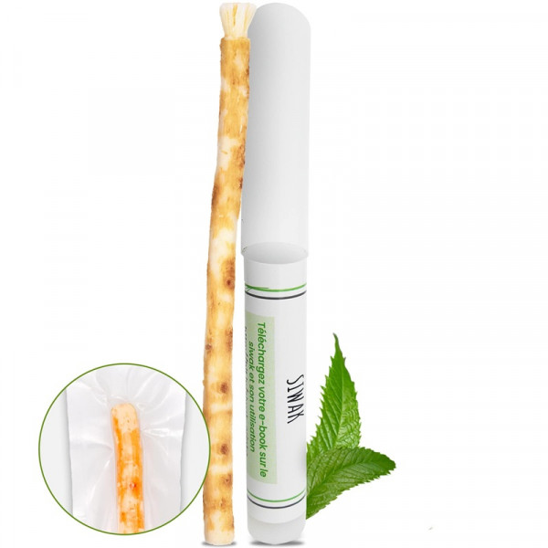 Brosse à dents naturelle Siwak x1 + Etui - 1 - 3