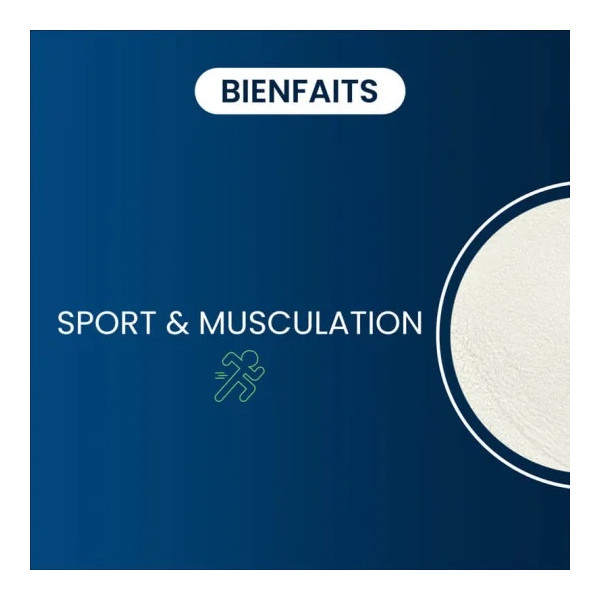 Whey Native Isolate 1 kg Purifiée à 95% en protéines - Dynveo - 2