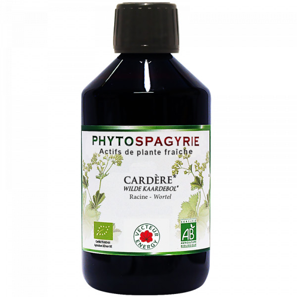 Phytospagyrie de plante Cardere bio 300ml - Vecteur Energy - 1