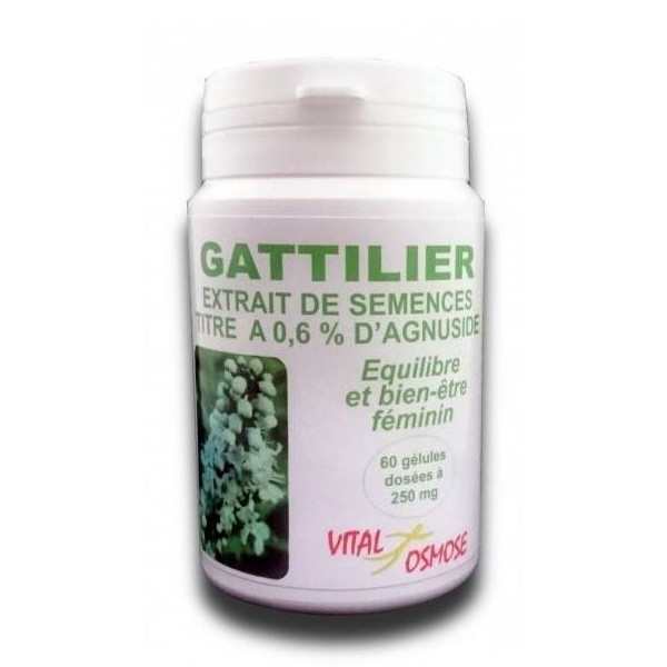 Gattilier extrait 250mg 60 gélules - Vital Osmose - 2