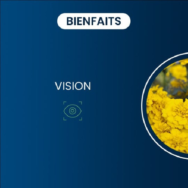 Lutéine & Zéaxanthine - Dynveo - 2