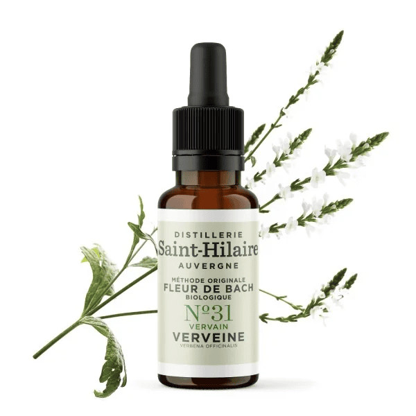 Verveine - Vervain Fleur de Bach 20ml - Saint Hilaire - 2