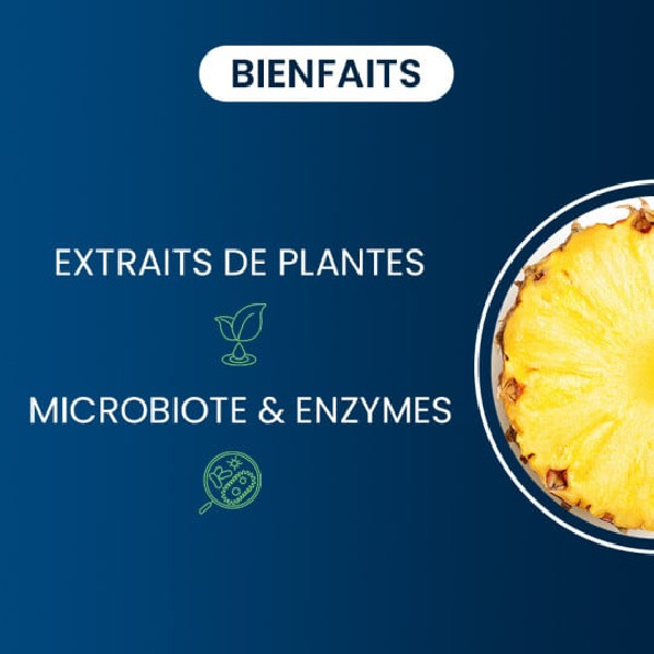 Bromélaïne pure 300 gélules - Dynveo - 2