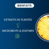 Bromélaïne pure 300 gélules - Dynveo - 2