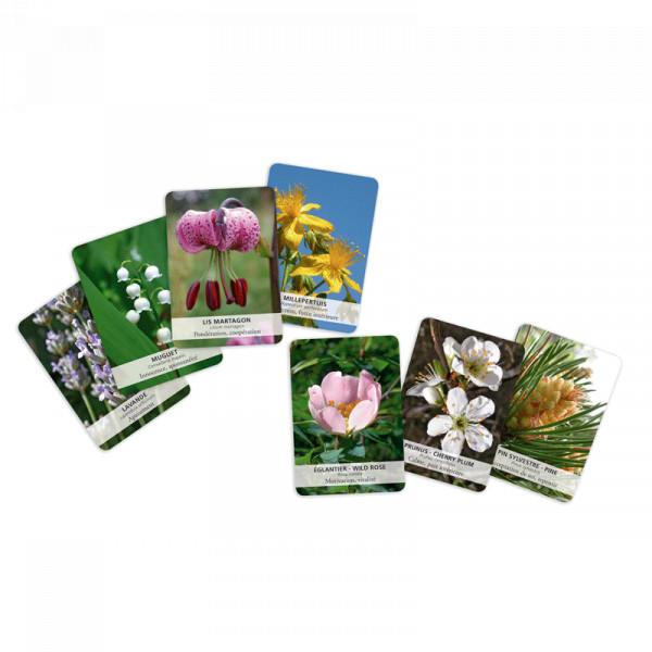 Jeu de Cartes des 38 fleurs de Bach du Dr Bach - 2