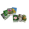 Jeu de Cartes des 38 fleurs de Bach du Dr Bach - 2