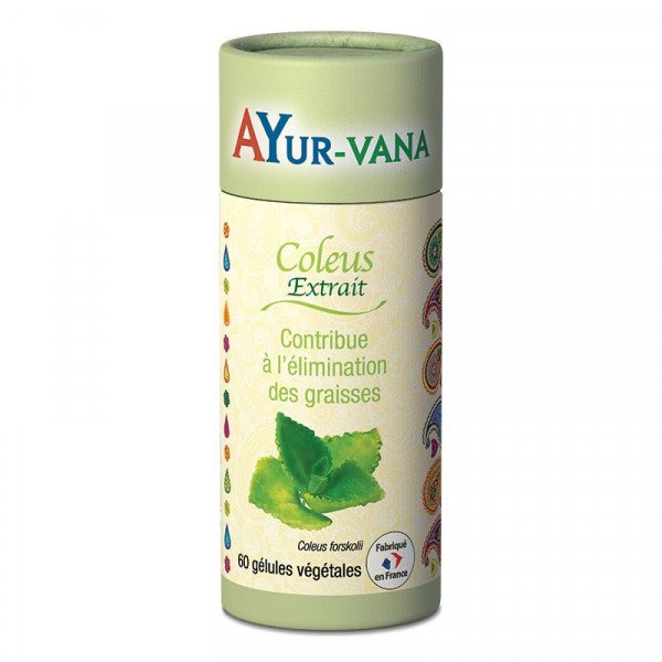 Coleus 60 gélules - Brûleur de graisses naturel puissant - AYur-vana - 1
