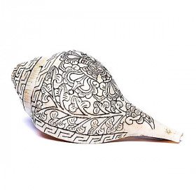 Conque tibétaine de Pudja gravé d'un double Dorje - Instrument spirituel - 4