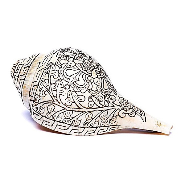 Conque tibétaine de Pudja gravé d'un double Dorje - Instrument spirituel - 4