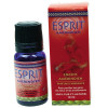 Parfum d’Ambiance Esprit Amérindien 10 ml - Purification Naturelle