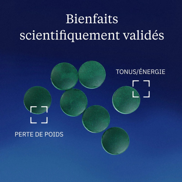 Spiruline BIO Française Brindilles 90 g - Énergie, Immunité Dynveo - 3