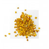 Pollen Polyfloral Dynamisé Bio France - Immunité & Vitalité - Ballot-Flurin - 1