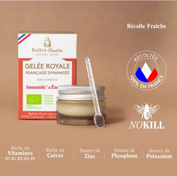 Gelée Royale Française Bio Fraîche- Énergie & Immunité - Ballot-Flurin - 1