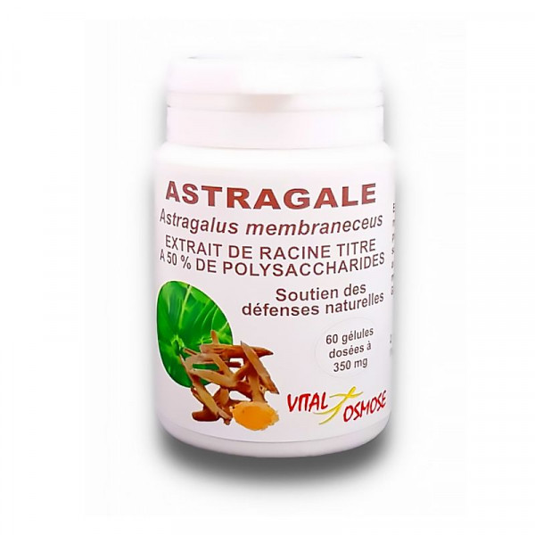 Astragale chinoise 50 % polysaccharides 60 gélules – Vital Osmose - 1