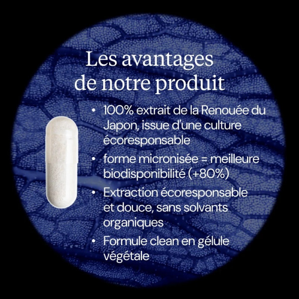 Trans-Resvératrol 99 % pur micronisé – Renouée du Japon - 2