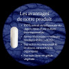 Trans-Resvératrol 99 % pur micronisé – Renouée du Japon - 2